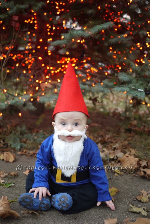 Cutest Baby Gnome Costume