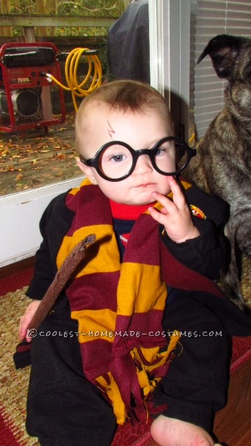 Cutest Harry Potter Baby Homemade Halloween Costume